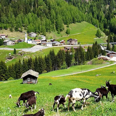 Alpenrose Innerferrera