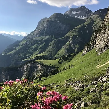 Alpenrose * Innerferrera