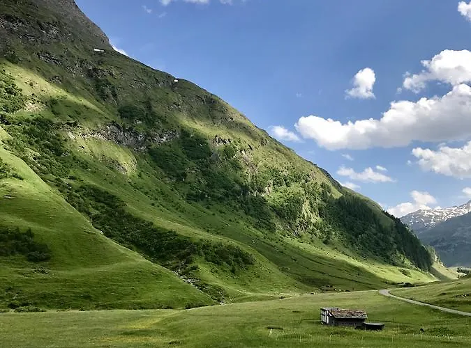 Alpenrose Innerferrera