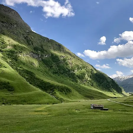 Alpenrose Innerferrera