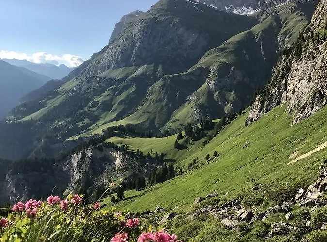 Alpenrose * Innerferrera
